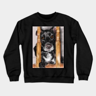 Don't Leave Me! Crewneck Sweatshirt